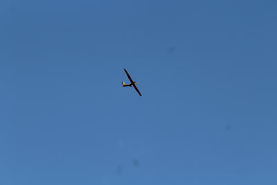 IMG 1480